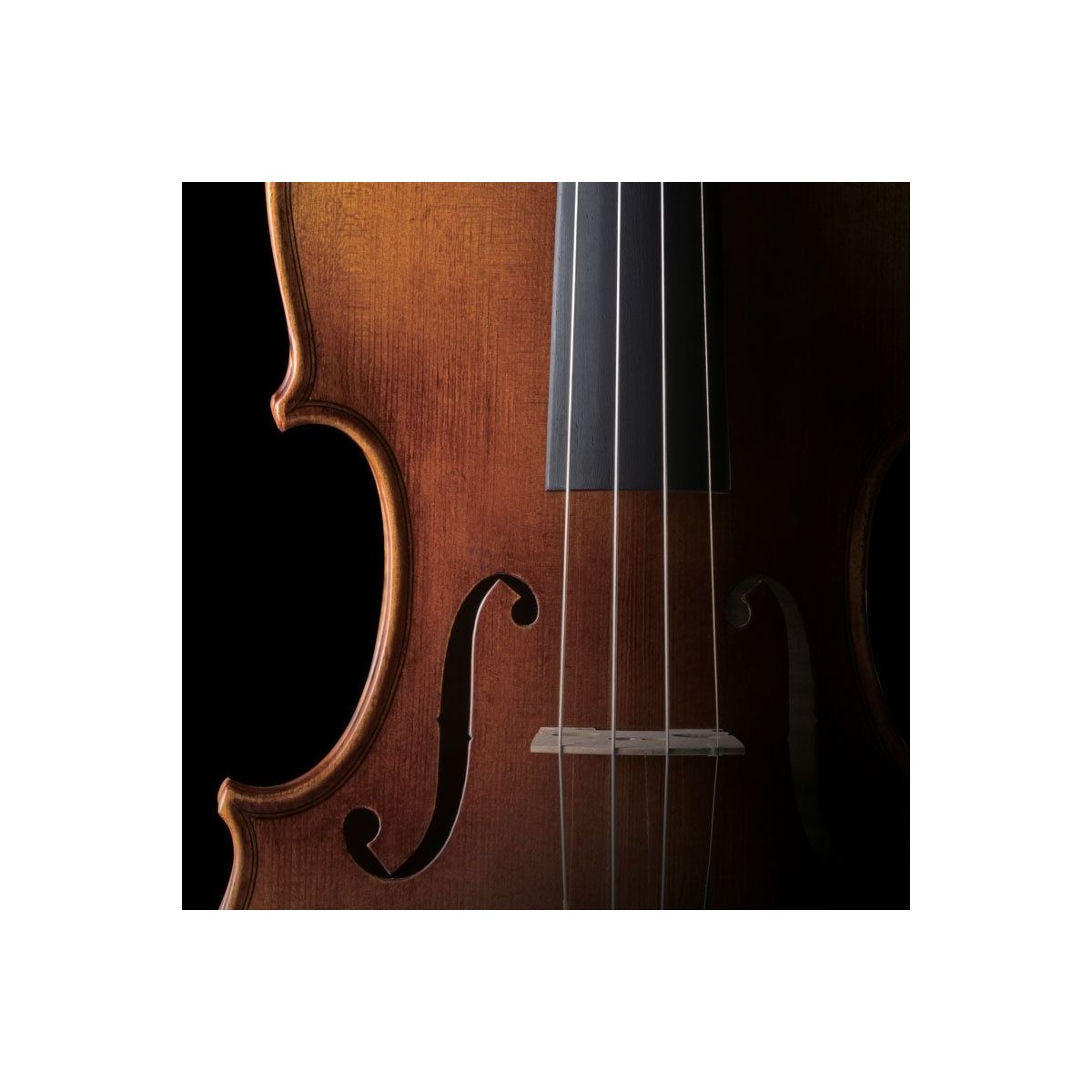 Скрипка 3/4 Pearl River PR-V01 3/4 в магазине Music-Hummer