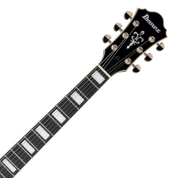 Фото IBANEZ AF95FM-AYS