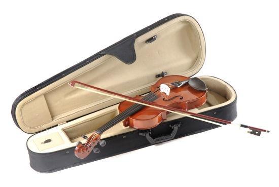 Cкрипка Dowina AV12 Amadeus 1/2 в магазине Music-Hummer