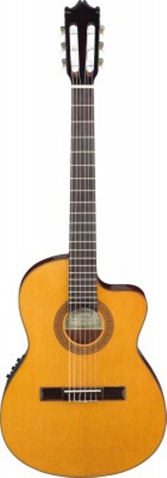 Фото Электроакустическая гитара Ibanez G5TECE Amber