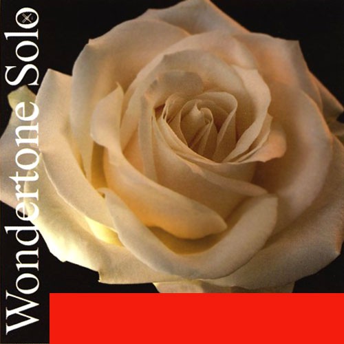 Фото Комплект струн для скрипки Pirastro 410021 Wondertone Solo