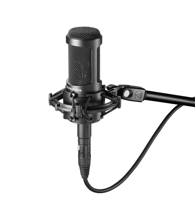 Audio-Technica AT2050 Микрофон студийный конденсаторный в магазине Music-Hummer