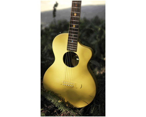 Фото Акустическая гитара NATASHA Asteroid Glaze Gold