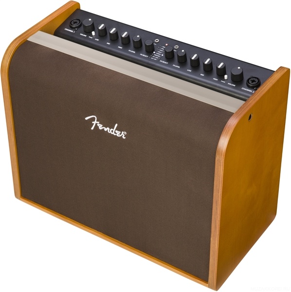 Фото FENDER ACOUSTIC 100
