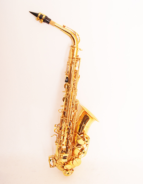 Саксофон АЛЬТ Eb Conductor FLT-SAL в магазине Music-Hummer