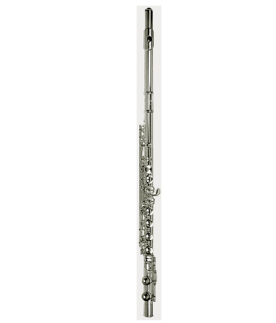 Флейта C SELMER FL302 в магазине Music-Hummer