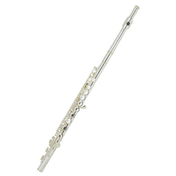 Поперечная флейта BRAHNER F-888SSHB в магазине Music-Hummer