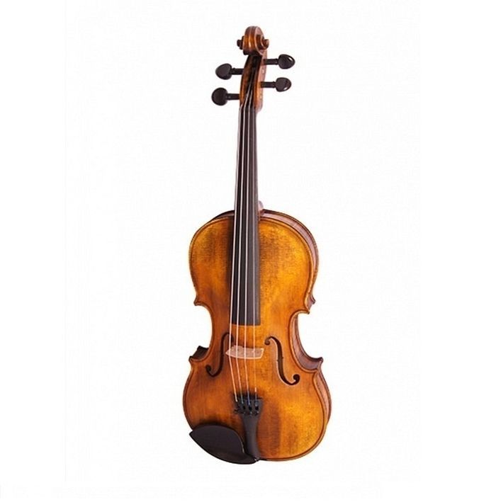 Скрипка концертная Strunal 176-4/4 в магазине Music-Hummer
