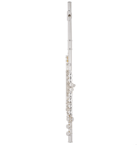 Флейта C ARMSTRONG 102E в магазине Music-Hummer