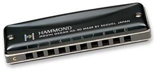 Фото Губная гармошка Hammond Promaster Suzuki HA-20