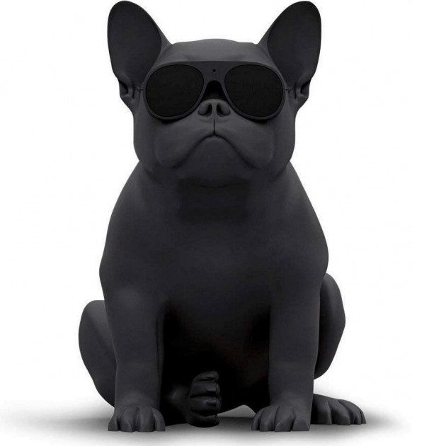 Фото Портативная акустическая система AEROSYSTEM Aerobull XS1 Matt black