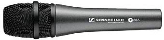 Фото SENNHEISER E 865