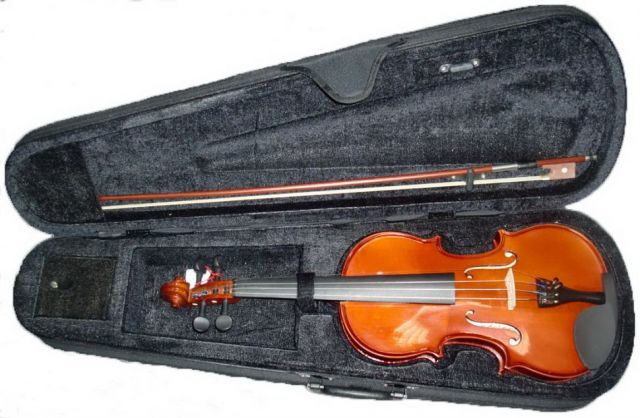 Фото Скрипка Livingstone L-V200 4/4