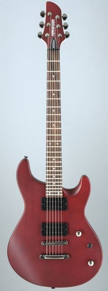 Фото Fernandes DFX(08) WRS
