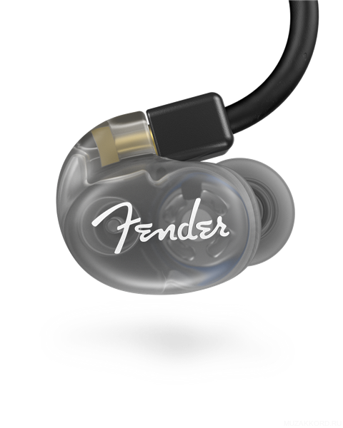 FENDER DXA1 PRO IEM- TRANSP CHARCOAL в магазине Music-Hummer