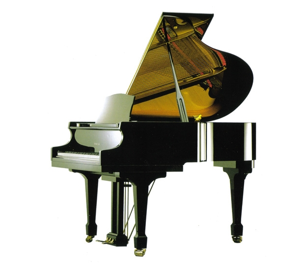 Фото Рояль SAMICK SIG54D/EBHP