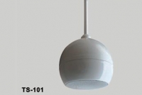 Nusun TS101  АС  подвесная, 20W, 70/100 V, 120-14 kHz, пластиковый, цвет белый в магазине Music-Hummer