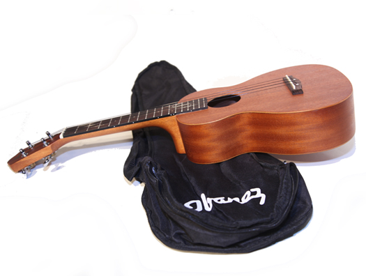 Фото IBANEZ UKS10