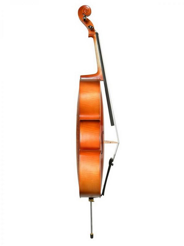 Фото ANDREW FUCHS CL-200M размер 4/4