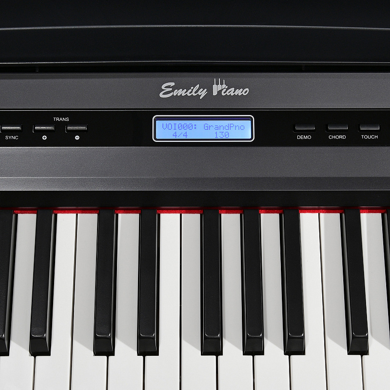 Фото Цифровое фортепиано EMILY PIANO D-20 BK