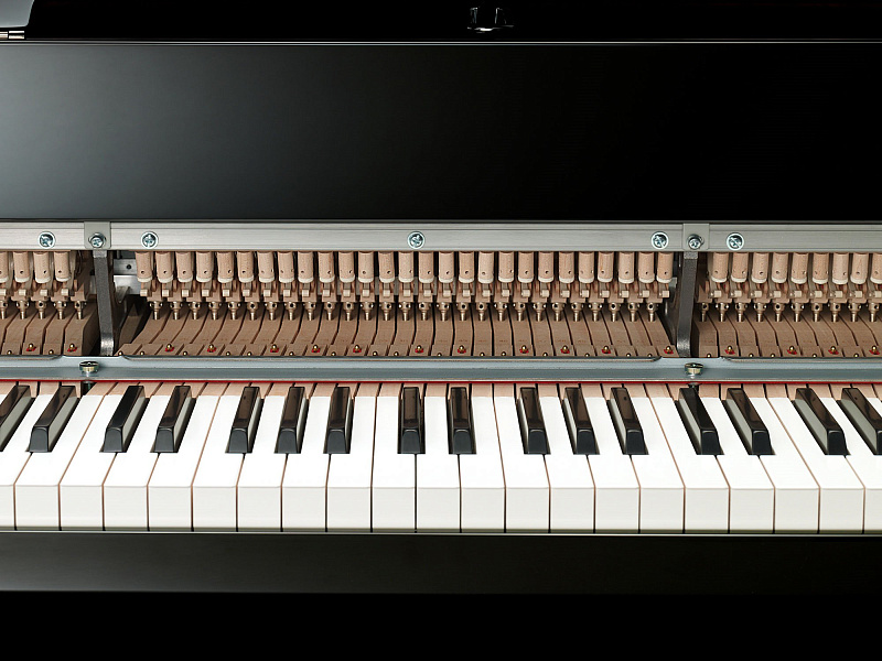 Фото Yamaha Avant Grand N3X 