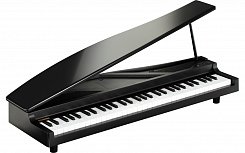 Цифровое пианино KORG microPIANO