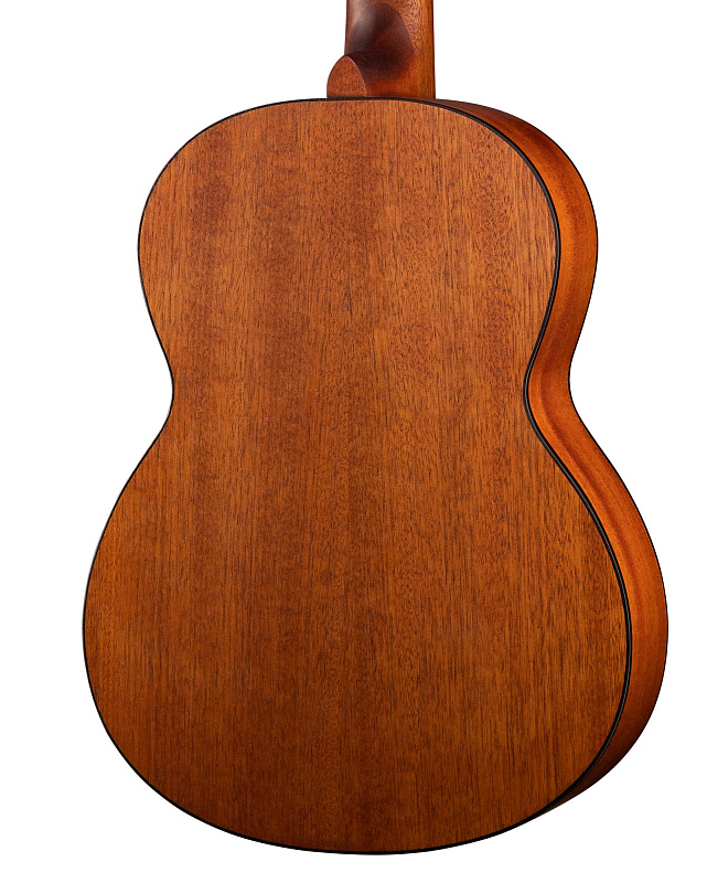 Фото Классическая гитара Parkwood PC90-WBAG-OP