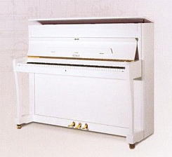 Petrof P 118G1(2251)