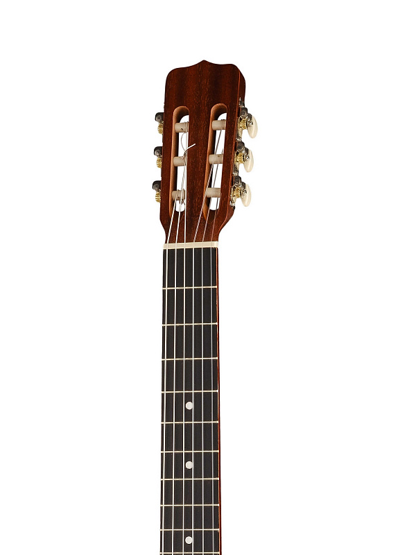 GC-BR30 Классическая гитара, Presto в магазине Music-Hummer