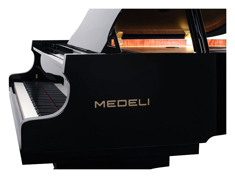 Фото Цифровой рояль Medeli GP805