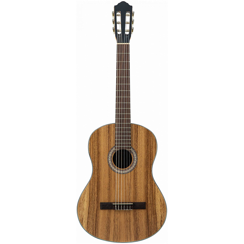 Фото Классическая гитара FLIGHT C-110 AC