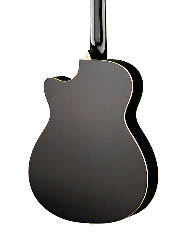 Акустическая гитара Naranda TG220CBK в магазине Music-Hummer