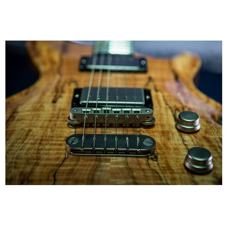 Фото Dean USA Hardtail SPM Exotic Spalte