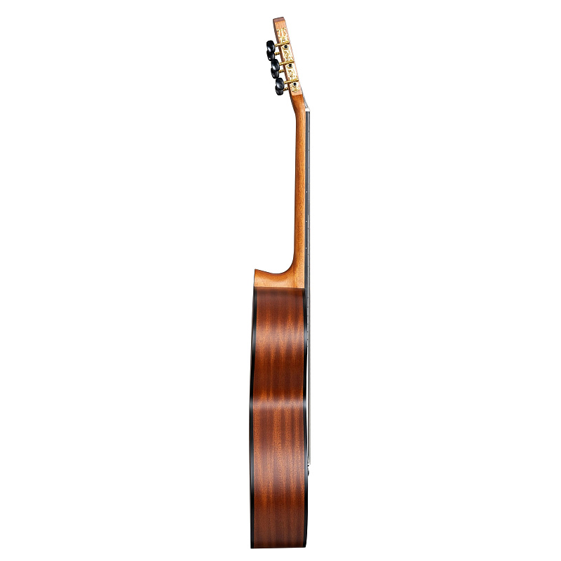 Фото CASCHA Stage Series CGC200-3/4