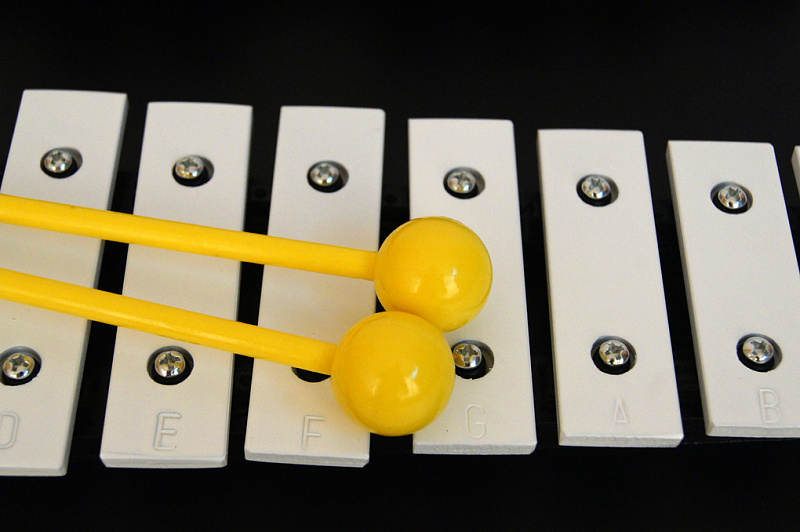 Фото Металлофон (глокеншпиль) 25 нот Fleet FLT-3025