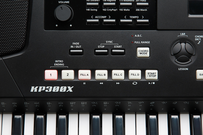 Синтезатор Kurzweil KP300X LB в магазине Music-Hummer