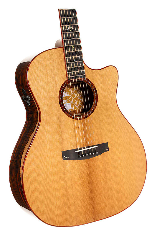 Фото Электроакустическая гитара Cort Gold-A10-Cocobolo-WCASE-NAT Gold Series