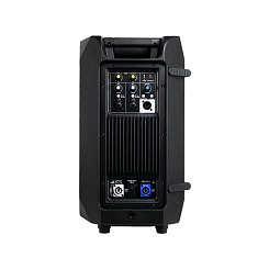 Активная акустическая система Урал x ARIS J.V. Имбирь 310-А