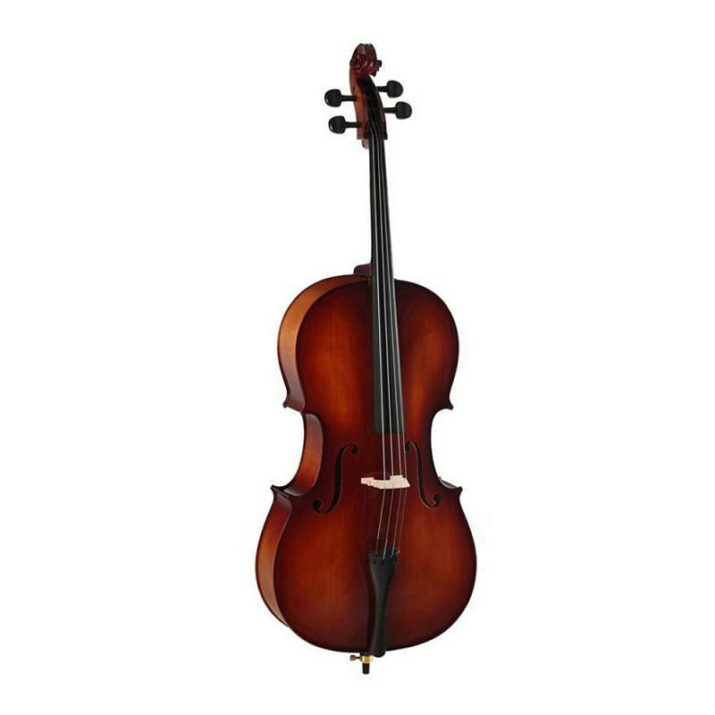 Виолончель GEWA Cello Maestro 6 4/4 в магазине Music-Hummer