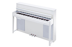 Kurzweil Andante CUP2A WHP