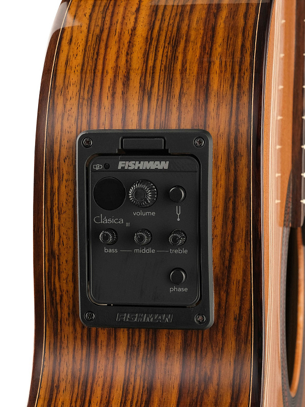 Электро-акустическая гитара Kremona F65CW Performer Series Fiest в магазине Music-Hummer