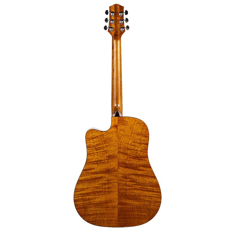 Фото Акустическая гитара Aion Q20