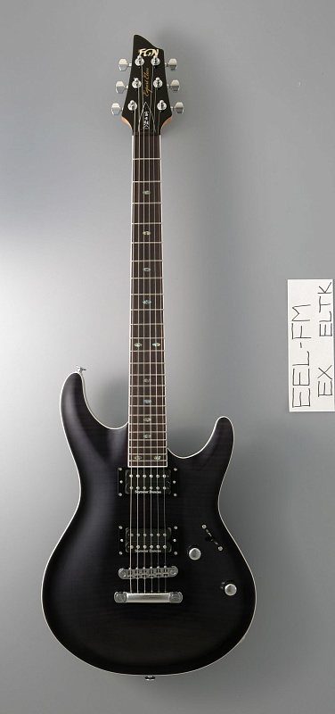 Фото Fujigen SEL-BW-HH/ BBL