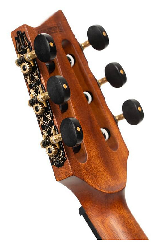 Фото Электроакустическая гитара Cort LUXE-NYLON-II-WCASE-BKB Frank Gambale Series, коричнево-чёрный берст
