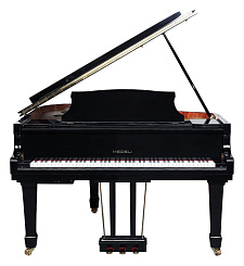 Цифровой рояль Medeli GP805
