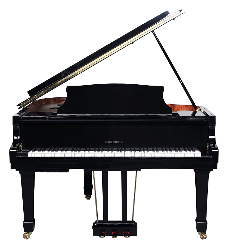 Фото Цифровой рояль Medeli GP805