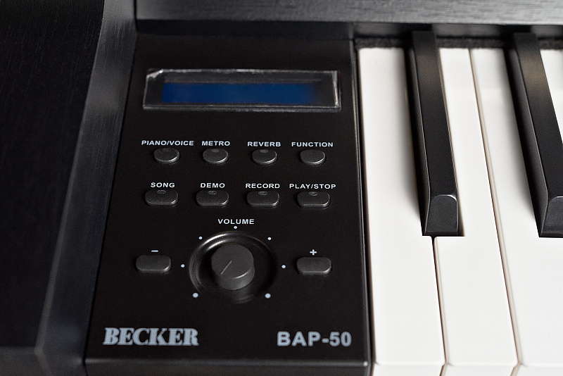 Becker BAP-50B в магазине Music-Hummer