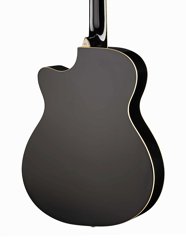 Фото Акустическая гитара Naranda TG120CBK