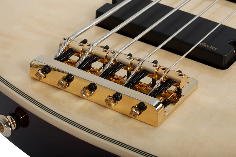 Фото Бас гитара Schecter OMEN EXTREME-5 GNAT