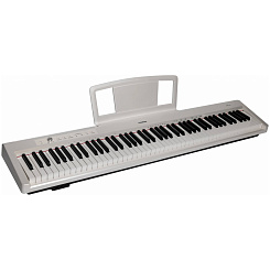 Цифровое пианино ARAMIUS APS-100 WH